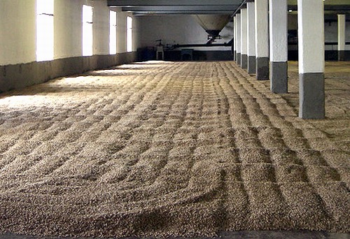 Malt Floor