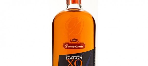 DAMOISEAU XO 6 Ans